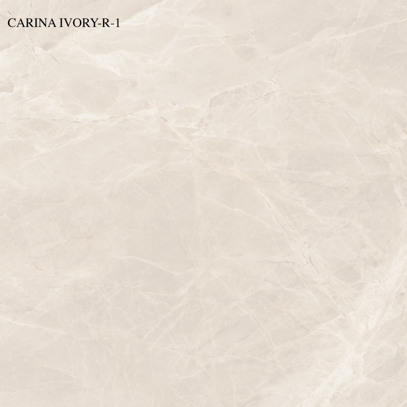 NV - CARINA IVORY